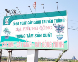 Bán đất dịch vụ liền kề Phụng Công, Văn Giang 60m siêu rẻ siêu đẹp.