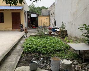 Bán đất ở phường Nhân Hòa-TX.Mỹ Hào-Hưng yên
