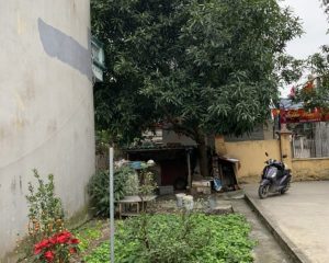 Bán đất ở phường Nhân Hòa-TX.Mỹ Hào-Hưng yên