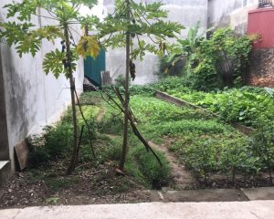 Bán đất thổ cư thôn Ngọc Lịch - Trưng Trắc - Văn Lâm diện tích 83m²
