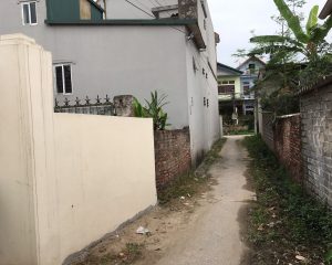Bán đất Phường Minh Hải, Văn Lâm. Gần ủy ban xã Minh Hải