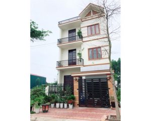 NHANH TAY SỞ HỮU NHỮNG LÔ HOA HẬU CUỐI CÙNG CÒN SÓT LẠI KHU ĐÔ THỊ V-GREEN CITY