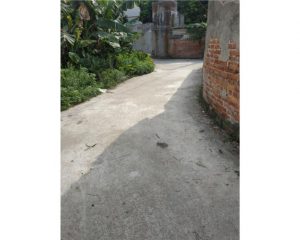 BÁN 65M2 ĐẤT MINH HẢI GIÁ CÔNG NHÂN CHỈ 480 TRIỆU