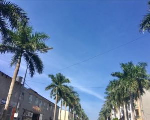 BÁN GẤP TRONG TUẦN: ĐẤT NỀN DỰ ÁN NEWCITY PHỐ NỐI KM 33, QL 39A, LIÊU TRUNG, LIÊU XÁ, YÊN MỸ, HƯNG YÊN.