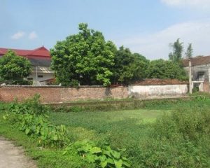 BÁN ĐẤT THỔ CƯ TẠI ĐỘI 5 THÔN DUYỆT VĂN, MINH TÂN, PHÙ CỪ