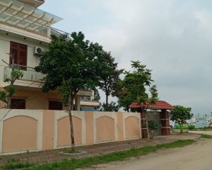 BÁN NHỮNG LÔ NGOẠI GIAO KHU A TẠI V-GREENCITY PHỐ NỐI HƯNG YÊN