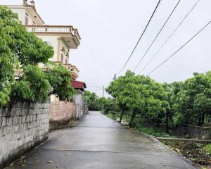 Bán lô đất tại xã Ông Đình, huyện Khoái Châu, tỉnh Hưng Yên