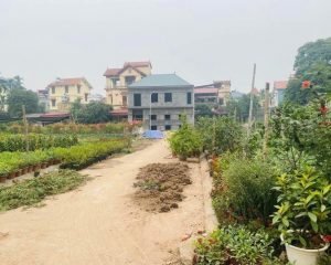 Cần bán 65m2 đất làng nghề hoa phụng công sát KĐT Ecopark