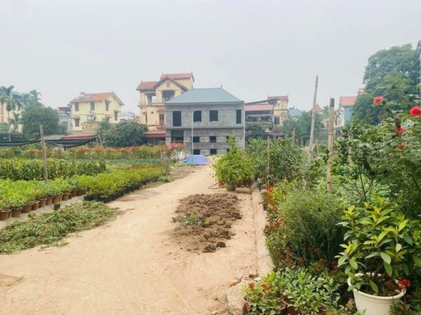 Cần bán 65m2 đất làng nghề hoa phụng công sát KĐT Ecopark
