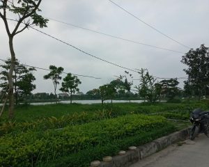 Bán biệt thự mặt hồ 480m2 tại Phố Nối Hưng Yên