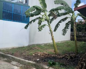 Cần bán 100m2 đất full sổ đỏ chính chủ tại Thôn Tây Thịnh, Thọ Vinh, Kim Động, Hưng Yên