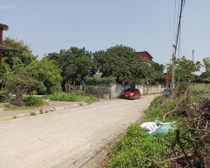 Bán 125m2 đất Chỉ Đạo, Văn Lâm, Hưng Yên