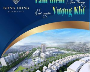 Chỉ 2x tỷ sở hữu ngay nhà dự án Sông Hồng Diamond City. Lãi suất 0% 24 tháng, CK 6%. TT chủ đầu tư