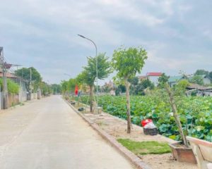 Bán đất thổ cư thôn Phi Liệt xã Liên Nghĩa - Văn Giang - Hưng Yên