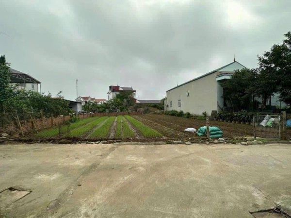 200m2 Đất full thổ cư ngõ ô tô tránh nhau, cạnh đấu giá, cạnh vành đai 4