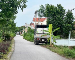 Trong khi đấu giá Tân Dân, lập đỉnh mới thì em còn lô giãn dân giá hợp lý cho NĐT