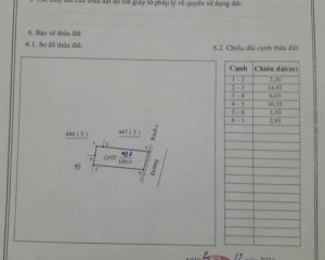 Bán 100m đường thông, nở hậu, giá đầu tư cách đấu giá Tân Dân 200m