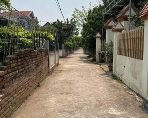 Sở hữu 122m2 tại Mễ Sở, Văn Giang đường ô tô chạy mà giá chỉ hơn 2xtr/m2 quá rẻ để đầu tư