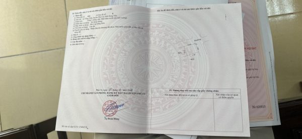 Lô góc 116m2 đấu giá Tống Trân, tại khu nghỉ dưỡng Khoáng Nóng do Sun group triển khai
