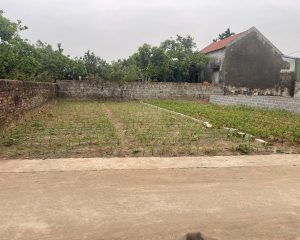Siêu phẩm 550m2 đất full thổ cư giá chỉ 1x triệu/m2 đẹp nhất Đông Tảo
