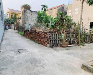 Bán đất đẹp 57.8m² tại Đan Kim, Liên Nghĩa, Văn Giang – Giá chỉ 42,5 triệu/m²