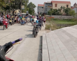 Cơ hội vàng: Bán 196m² đất vị trí đẹp hiếm có tại trung tâm Chỉ Đạo, Văn Lâm – Gần Ocean Park