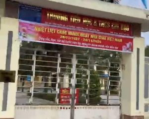 Cơ hội vàng: Bán 196m² đất vị trí đẹp hiếm có tại trung tâm Chỉ Đạo, Văn Lâm – Gần Ocean Park