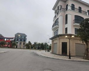 Bán 55m² Đất Thổ Cư Tại Nghĩa Trụ, Văn Giang, Hưng Yên – Đường Ô Tô Tránh Thoải Mái