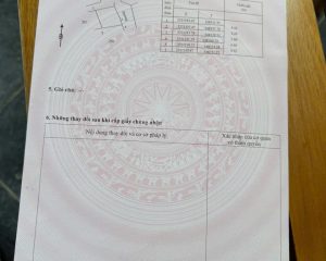 Chính chủ bán đất 43m² Chí Trung, Tân Quang, Văn Lâm – Mặt tiền 6,5m, ngõ 2.8m, ô tô đỗ cửa
