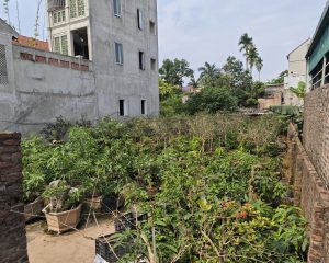 Bán đất thổ cư tại Đan Kim, Văn Giang, Hưng Yên. Giá 35 triệu / m2, pháp lý đầy đủ