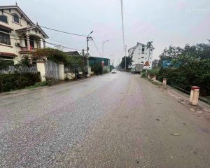 Bán đất trục chính kinh doanh, gần KĐT Xuân Cầu – Mặt đường Di Sản, giá đầu tư hấp dẫn