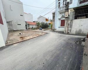 Chính chủ bán đất 43m² Chí Trung, Tân Quang, Văn Lâm – Mặt tiền 6,5m, ngõ 2.8m, ô tô đỗ cửa