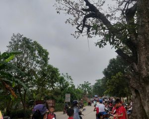 Bán đất đấu giá Đào Dương, Ân Thi. 91 - 105m. Mặt ngoài đường huyện DH 61. Cạnh trường học cấp 1