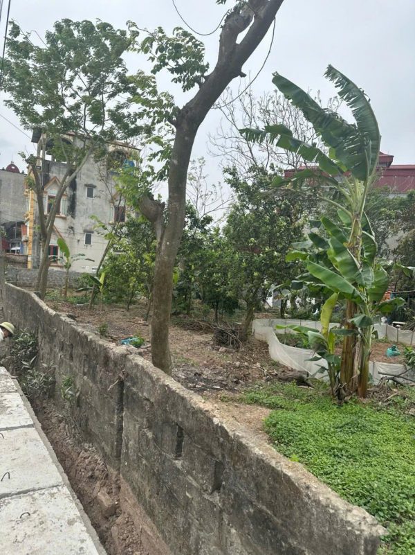 Lô đất mặt đường xã Hoàng Hoa Thám, gần ủy ban xa, mặt tiền 8,6m