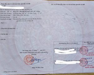 Chính chủ cần bán 539m² trung tâm xã Cửu Cao, Văn Giang - Mặt tiền rộng, đường ô tô tránh