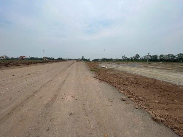 Đất nền dự án siêu đẹp đối diện là KCN Tân Á Đại Thành đầu tư là thắng