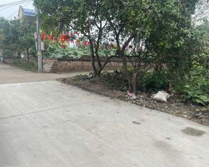 Bán lô góc 118m cực đẹp tại Đông Tảo, Khoái Châu