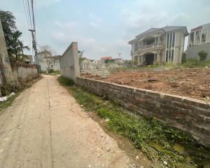 Bán đất tại Tử Cầu, 1,9 tỷ, 64,7m2, hàng hiếm ở Giai Phạm, Yên Mỹ, Hưng Yên