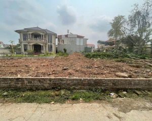 Bán đất tại Tử Cầu, 1,9 tỷ, 64,7m2, hàng hiếm ở Giai Phạm, Yên Mỹ, Hưng Yên