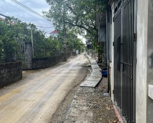 Cần Bán Gấp 545m² Đất Mặt Đường 382 – Mặt Tiền 20m – Cách Chợ Đông Tảo 300m