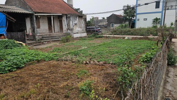 Chính chủ bán gấp 110m2 ngay đường Quy hoạch 30m ở Liên Nghĩa, Văn Giang