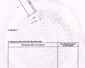 Chính chủ bán đất mặt đường Hoàng Hoa Thám – Vị trí kinh doanh sầm uất, gần UBND, chợ, KCN