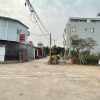 Siêu phẩm đường thông diện tích 90m tại Nghĩa Trụ Văn Giang hàng xóm Vinhome Oceanpark
