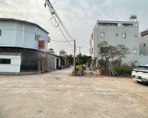 Chính chủ gửi bán 87m2 đấu giá Đan Kim Liên Nghĩa Văn Giang. Đối diện trường THPT Dương Quản