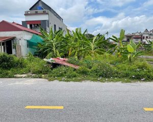 Bán đất giãn dân Minh Tân - Phù Cừ giá tốt, sổ đỏ chính chủ