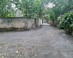 Bán lô đất thổ cư rộng 447,8m², vị trí đẹp