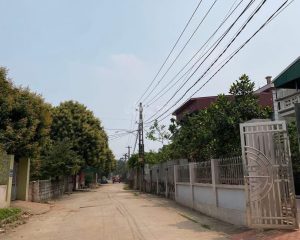 Cần bán đất thổ cư 100% tại Đông Tảo, Khoái Châu – Giá cực tốt