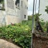 Cần bán lô đất đấu giá đẹp nhất huyện Yên Mỹ 110m², mặt tiền 5m, đường trước nhà 13m, sẵn sổ đỏ.