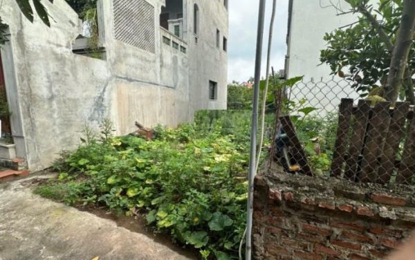 Bán đất Đan Kim, 2,8 tỷ, 76m2, mặt tiền 4,8m, ngõ 2m, pháp lý đầy đủ, ô tô đỗ cách 10m