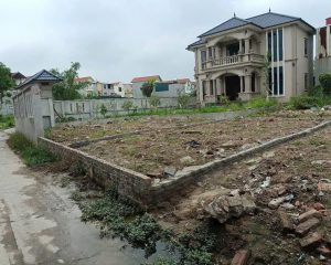 Bán đất 64.7m² tại Giai Phạm – Yên Mỹ, vị trí đẹp, giá tốt